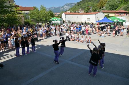 vipavska ned-26